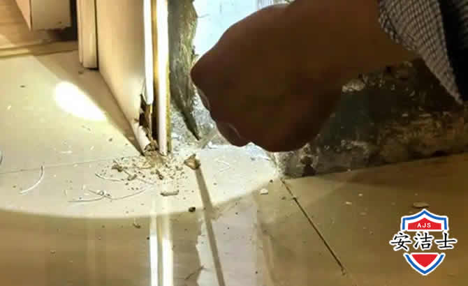 滨江区房屋建筑防治白蚁