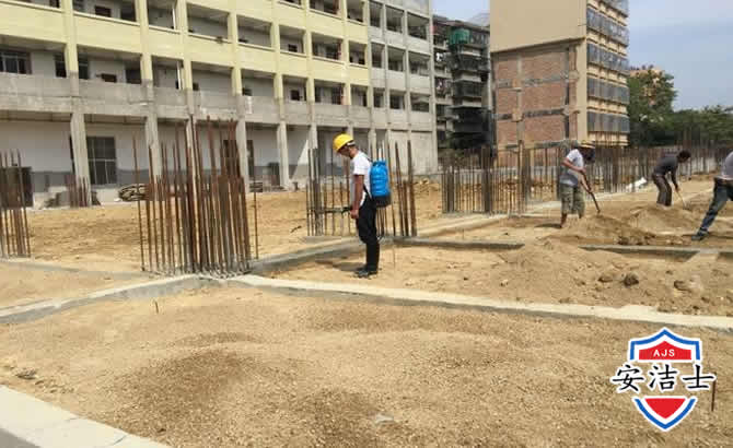 滨江区学校机关防治白蚁