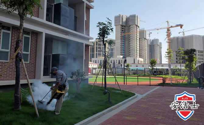 滨江区工厂工地除白蚁