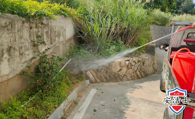 滨江区道路堤坝白蚁防治