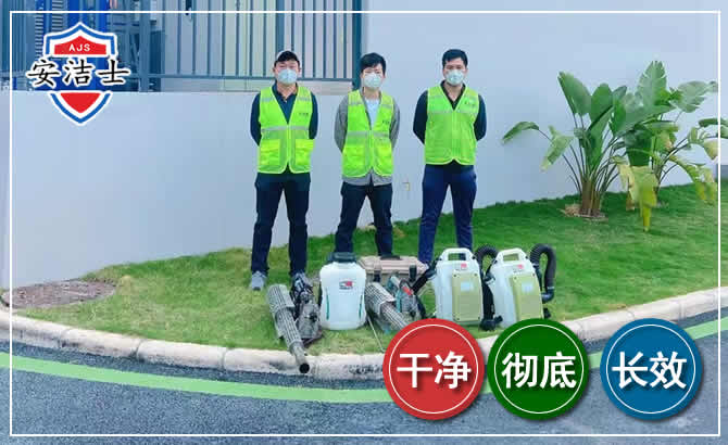 滨江区专业除虫团队