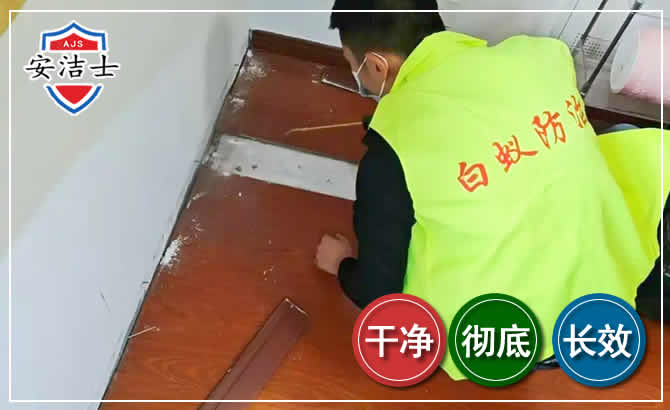 滨江区除四害现场