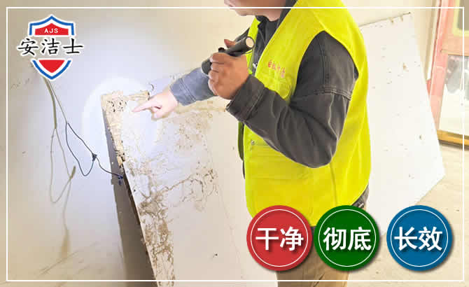 滨江区除白蚁现场