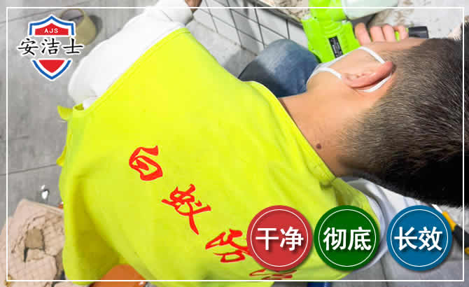 滨江区白蚁根治现场